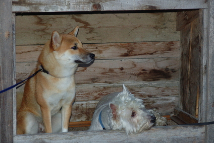 jimmy und sina